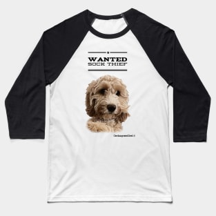 Cockapoo / Doodle Dog Sock Thief Baseball T-Shirt